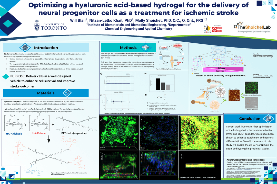 Stroke Treatment Research